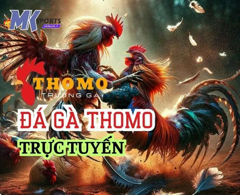 Kinh Nghiệm Chơi Đá Gà Thomo Không Bao Giờ Thua